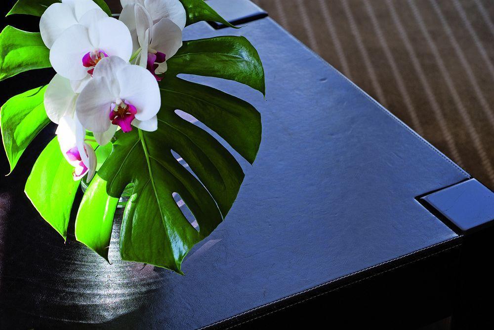Excelsior Hotel Saint-Raphael  Ngoại thất bức ảnh